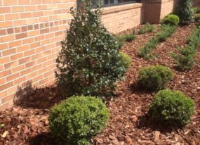 Landscaping Lakeland FL